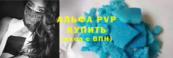 крисы Белокуриха